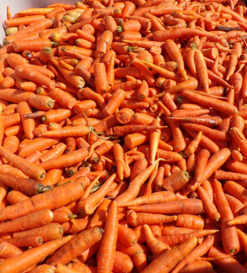 Cibo Naturale Monoproteico al Maiale – Senza Cereali, con Rosa Canina e Quinoa 🌸