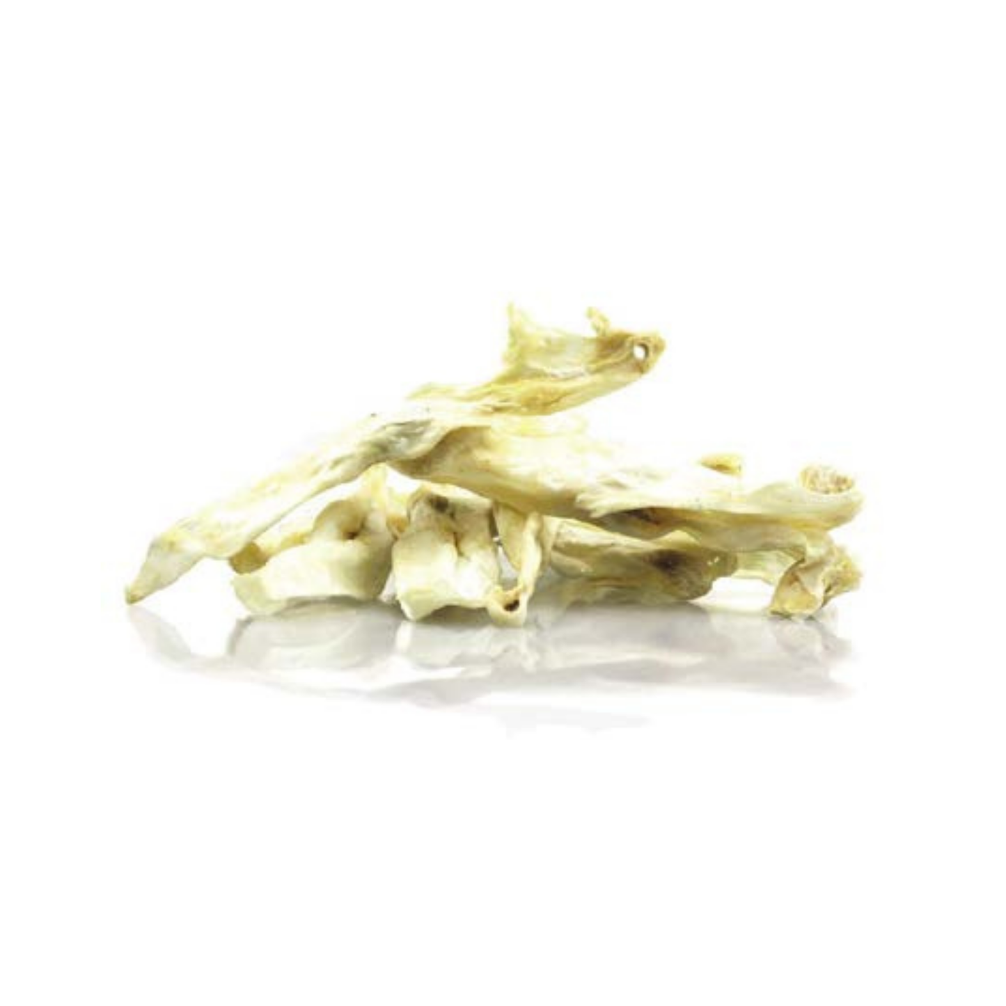 Orecchio di coniglio essiccata