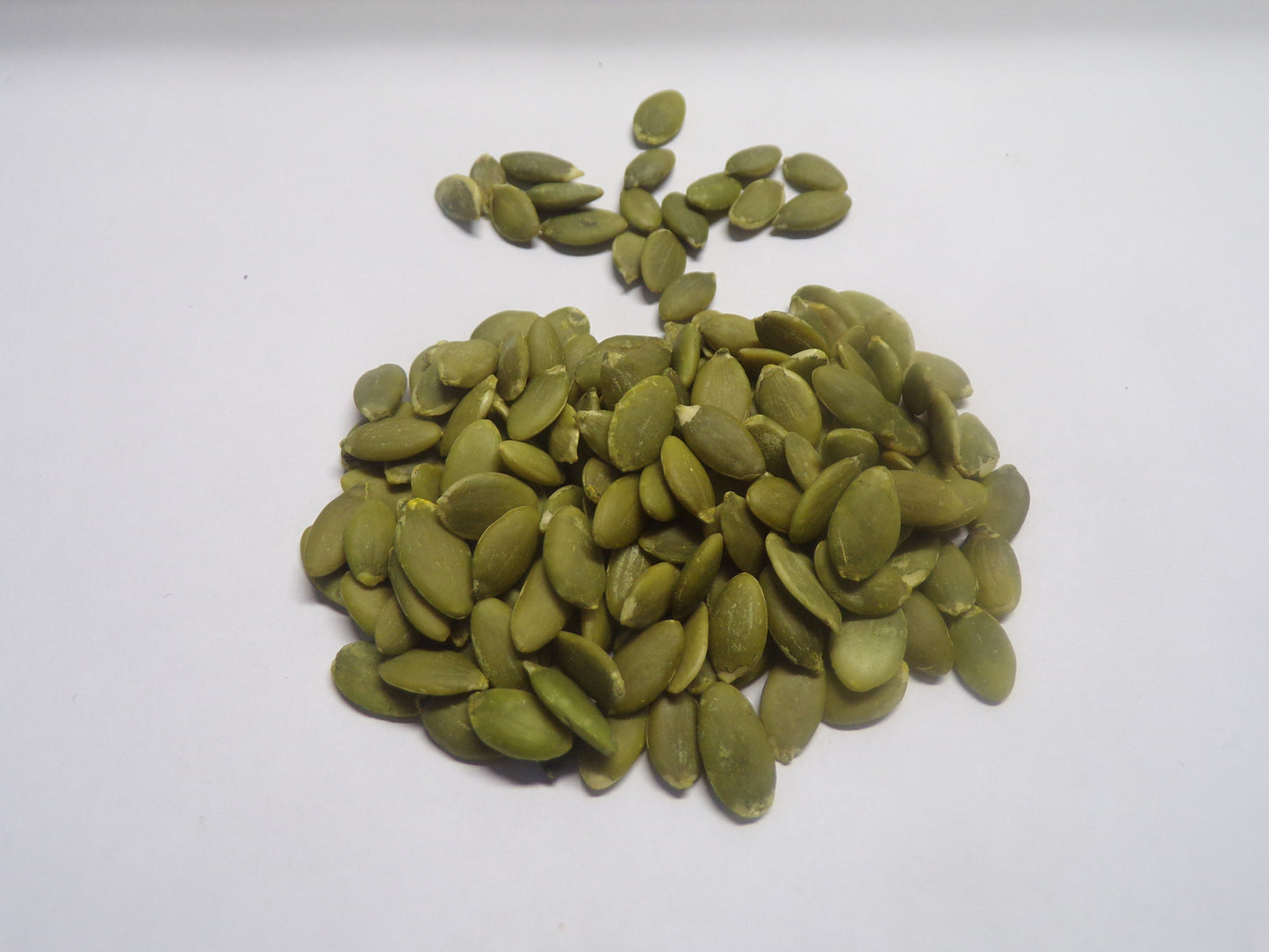 Cibo Naturale Multiproteico al Pesce Fresco e Carni Bianche – con Crusca di Riso e Mela Verde🐟🍏