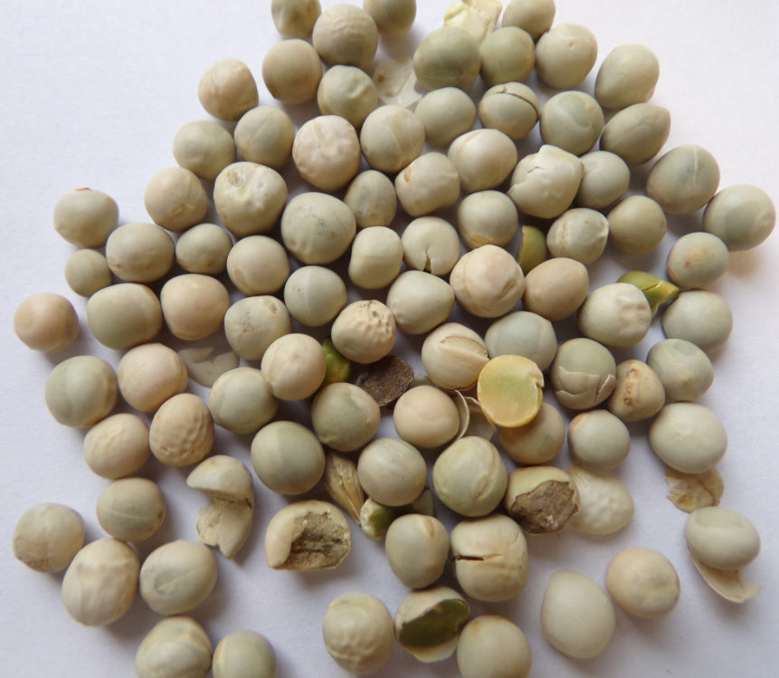 Cibo Naturale Monoproteico al Manzo – con Riso yucca schidigera🥩🌿