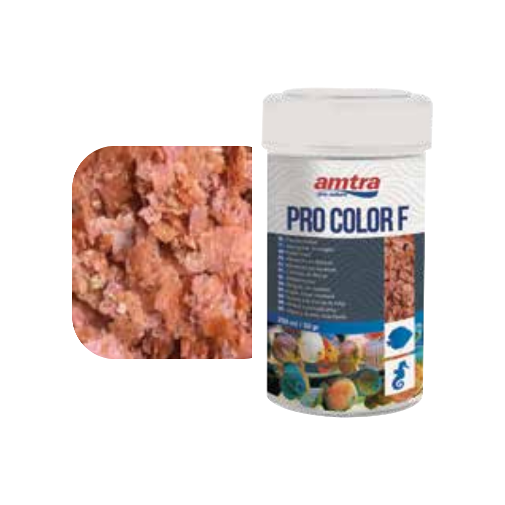 Amtra Pro Flake Color