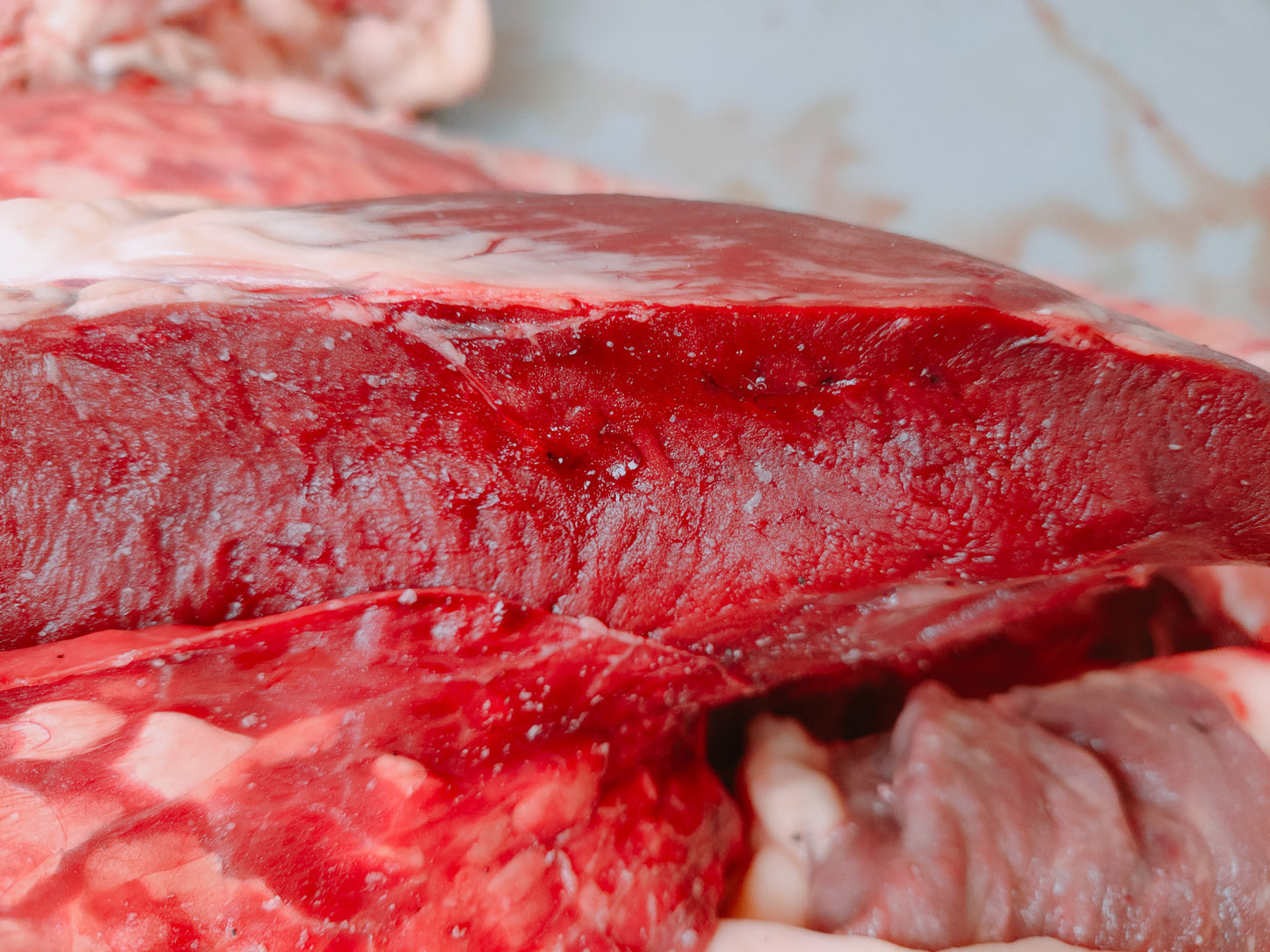 GRAINFREE GATTO STERILIZZATO AGNELLO E TACCHINO CON FRUTTI ROSSI ED OLIO D'OLIVA