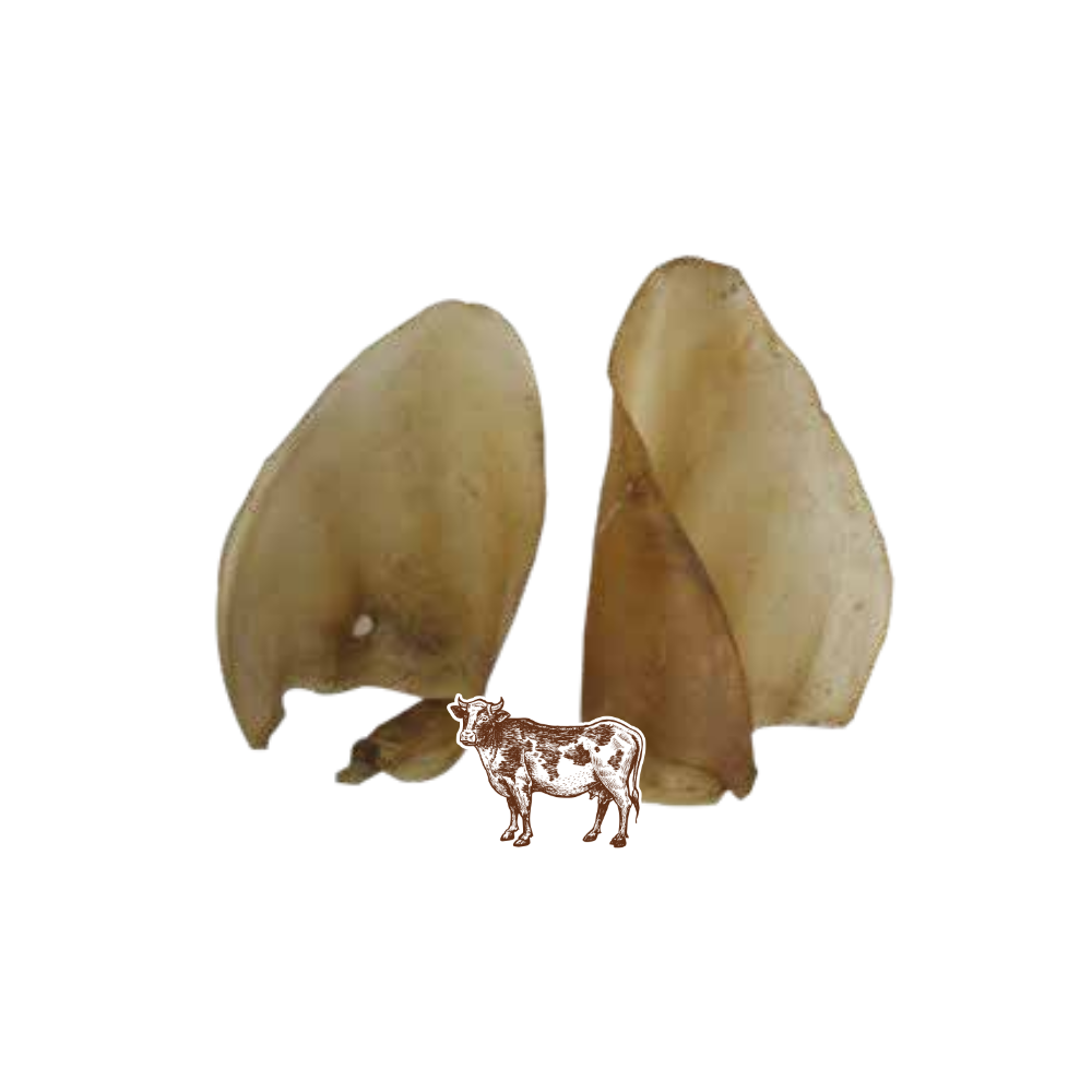 Barf Orecchio Bovino 2pz