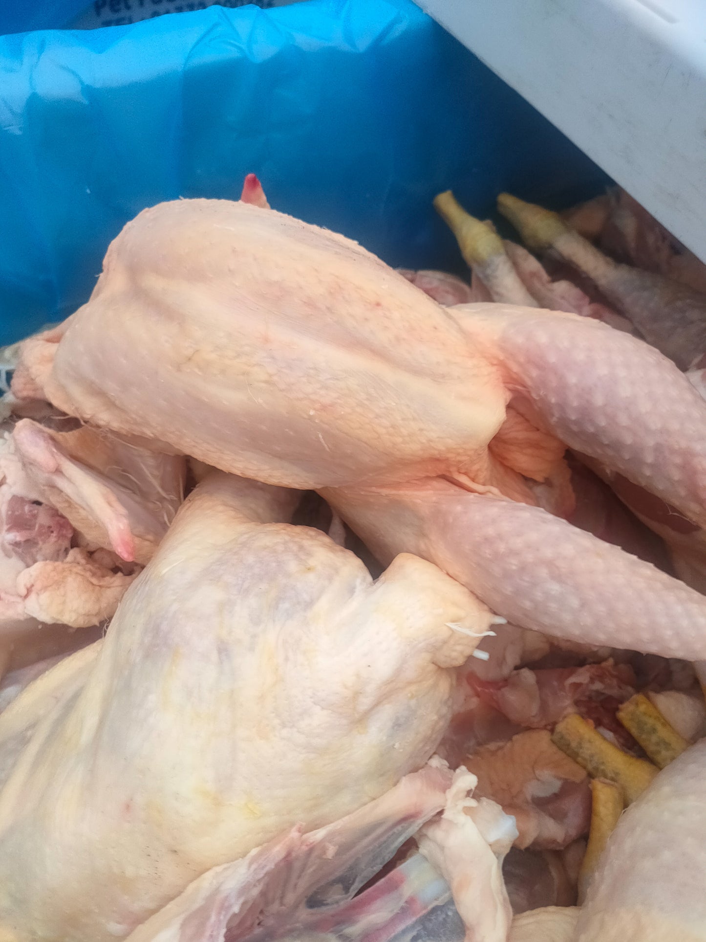 STARTER SVEZZAMENTO BIPROTEICO MANZO E POLLO CON CICORIA E OMEGA3