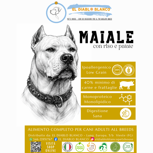 Cibo Naturale Monoproteico al Maiale – con Riso, Patate 🐷🌾