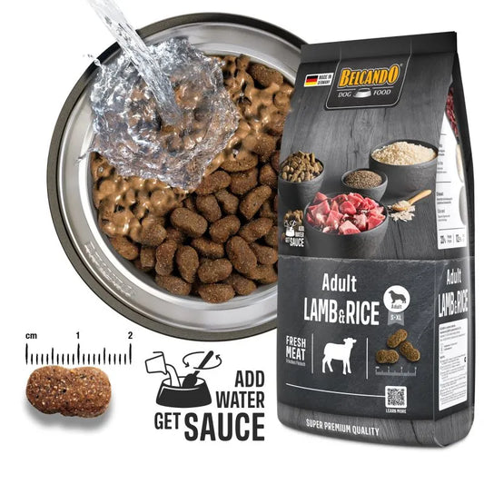 ADULT LAMB E RICE ALL BREEDS