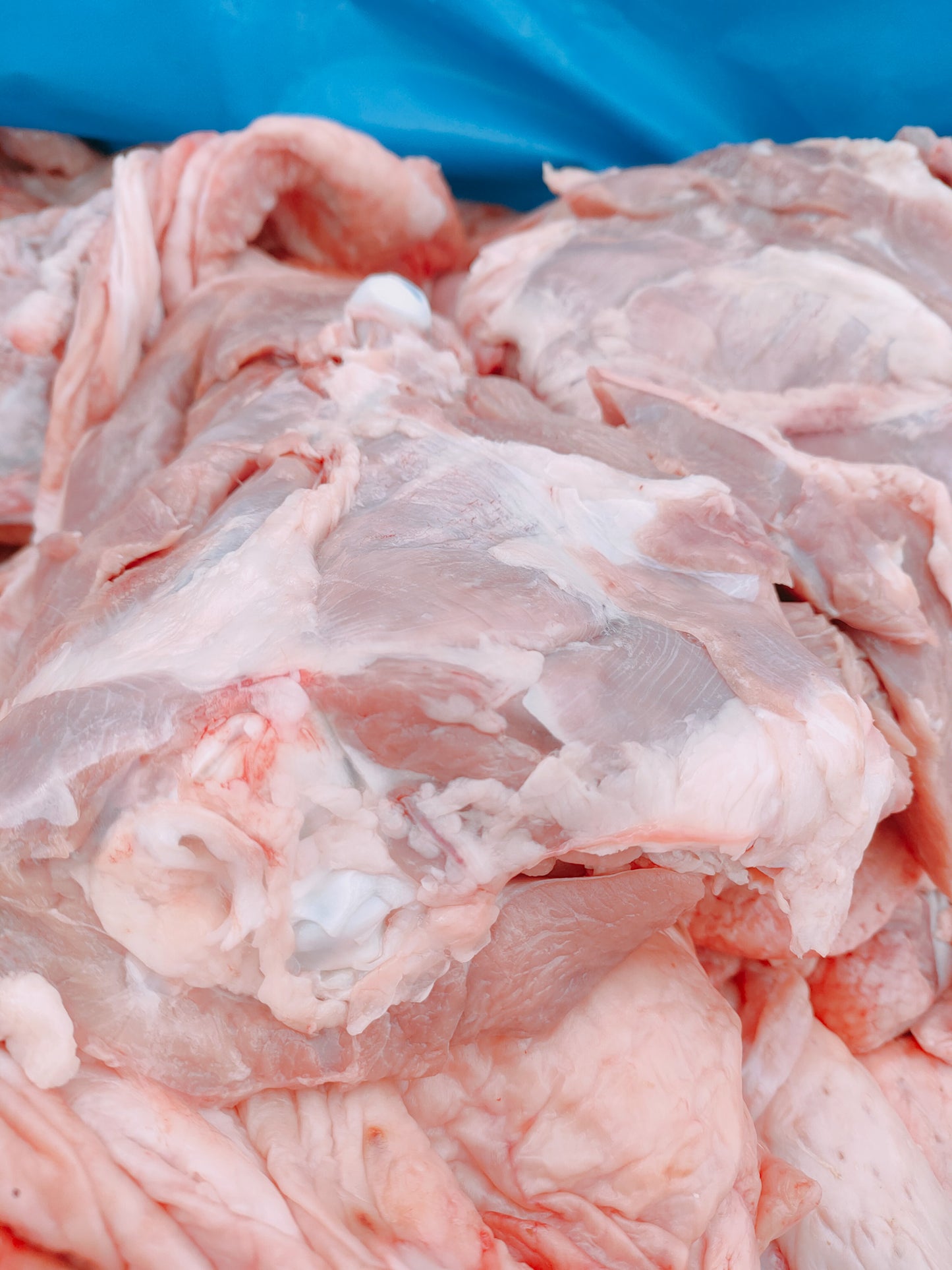 🐷 Cibo naturale Monoproteico Alta Digeribilità al Maiale – Adult All Breeds