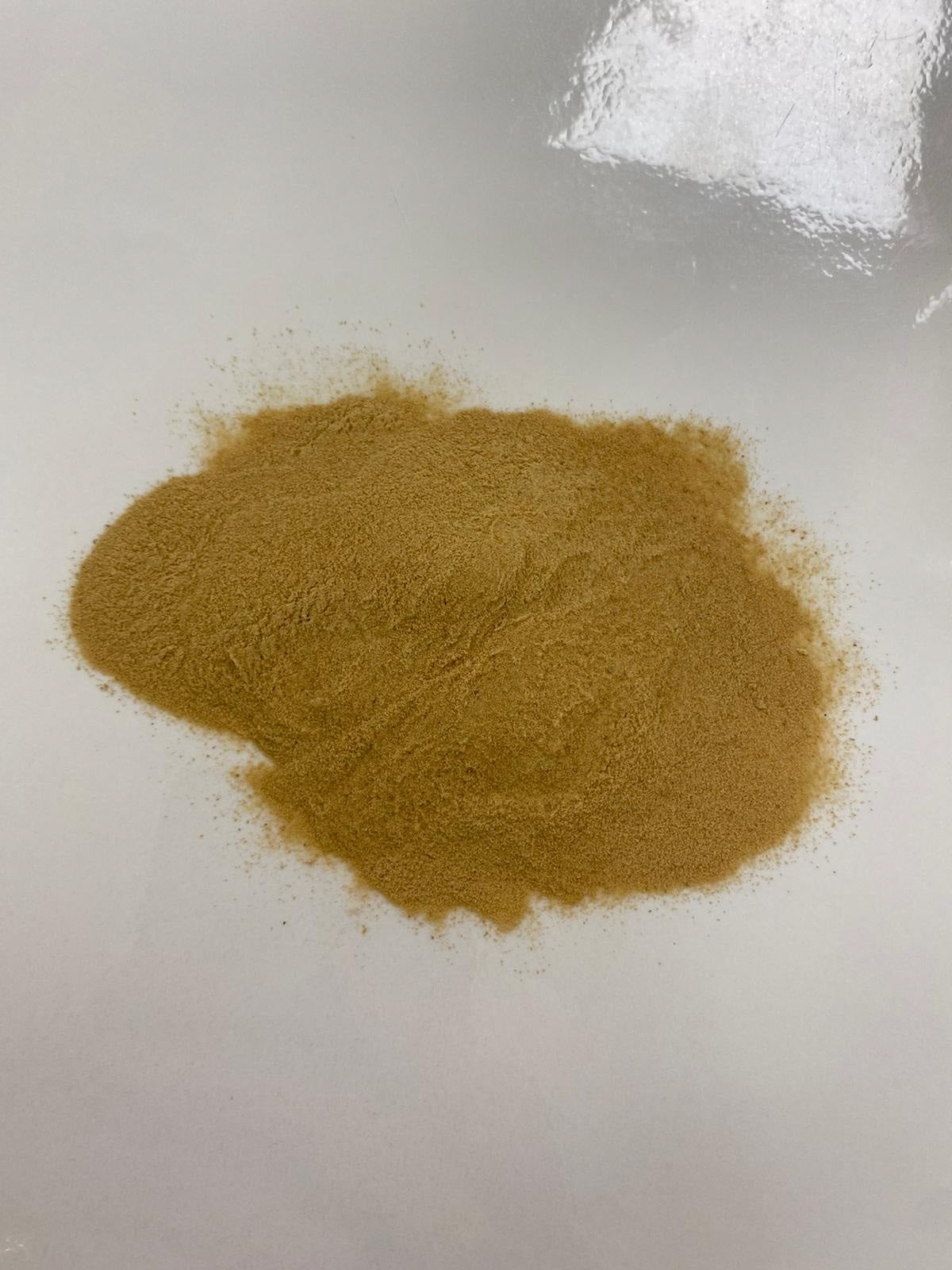 GRAINFREE PER CANI ADULTI AL CAVALLO CON CARDO MARIANO E MELOGRANO