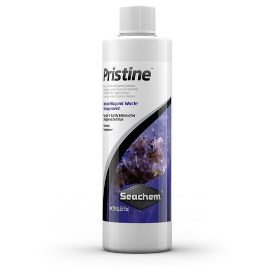 PRISTINE 100ml