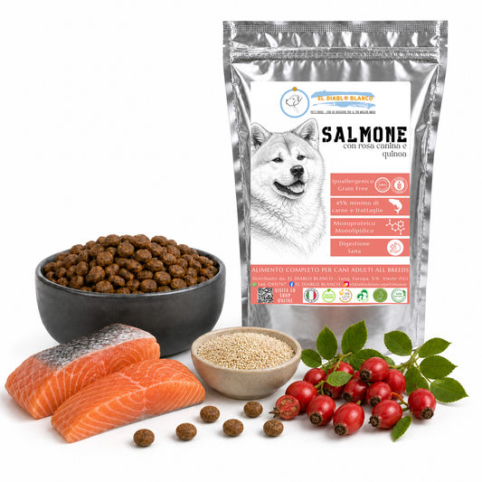 Cibo Naturale Monoproteico al Salmone – Senza Cereali, con Rosa Canina e Quinoa 🌸